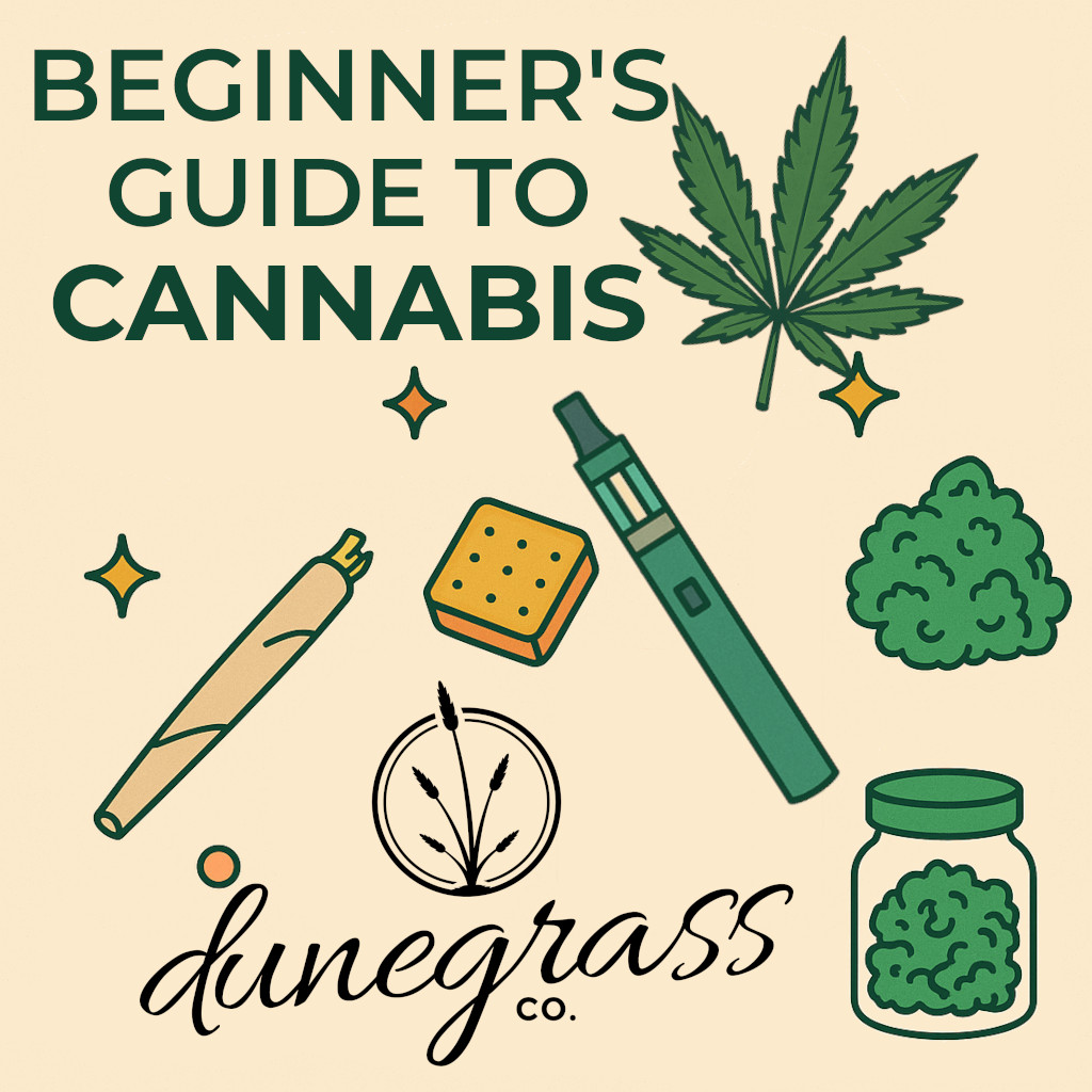 beginners guide to cannabis displaying illustrations of various products.